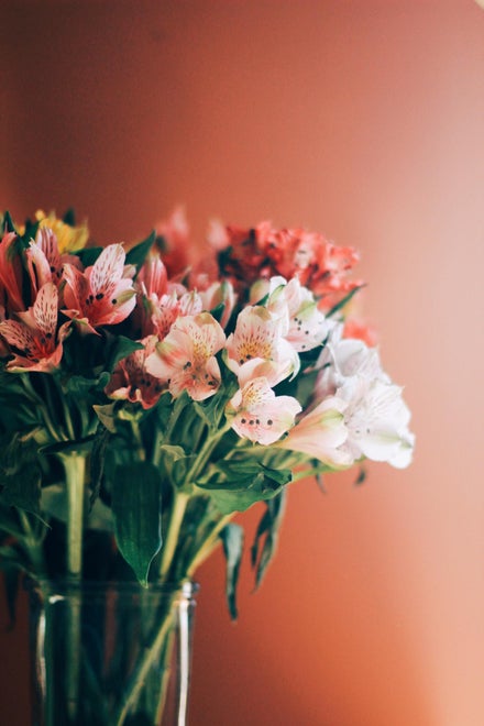 Sådan plejer du afskårne blomster